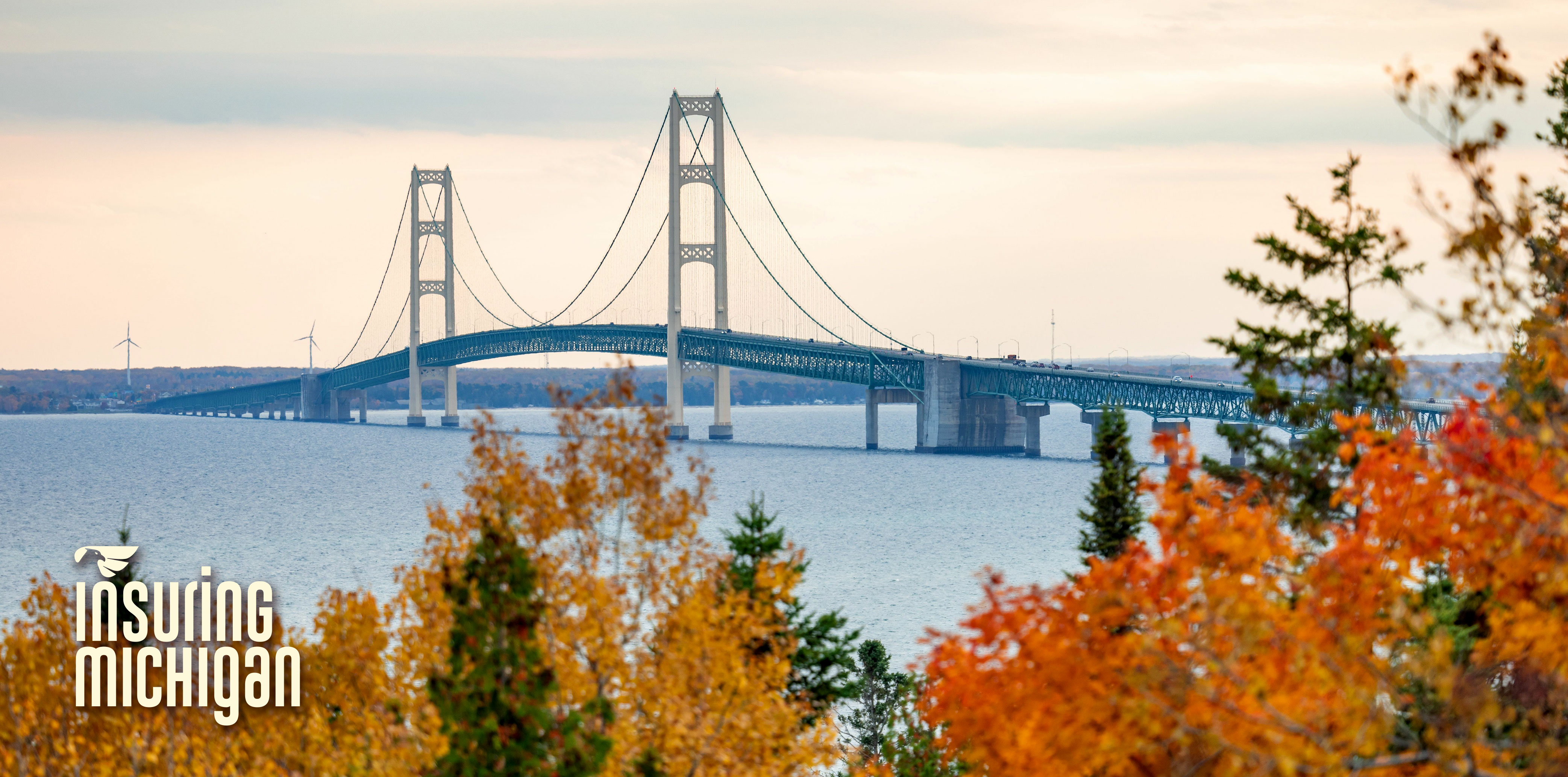 Pioneer State Mutual Insuring Michigan